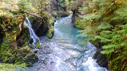 Enchanted Valley Trail